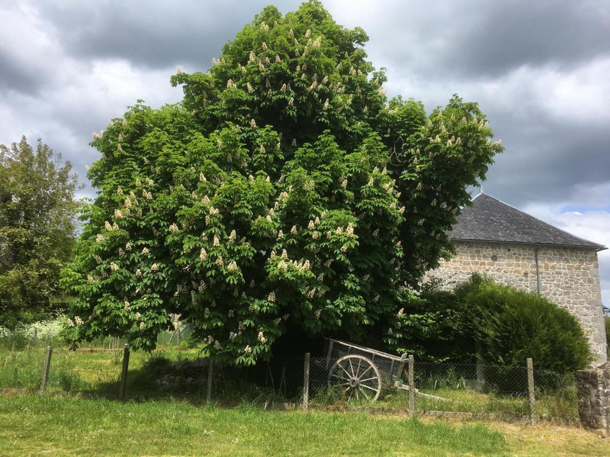 Les Pipistrelles 19 - Chambre D'Hotes Meymac Bagian luar foto